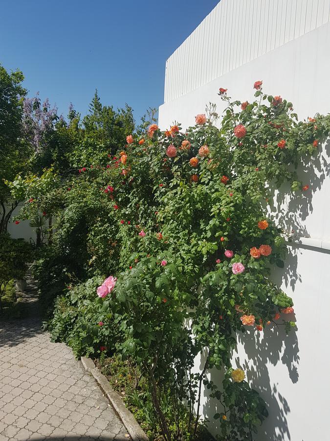 Hotel Badagi Тбилиси Экстерьер фото