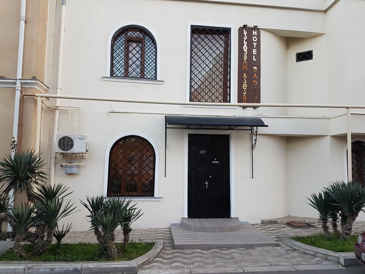 Hotel Badagi Тбилиси Экстерьер фото